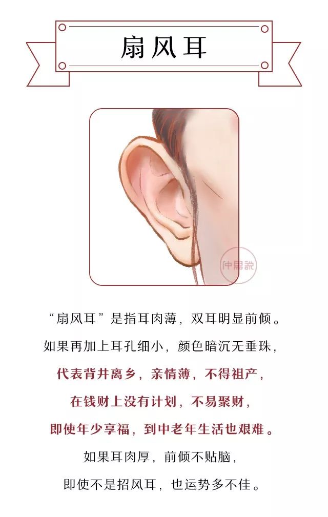 耳朵类型图及命运图片