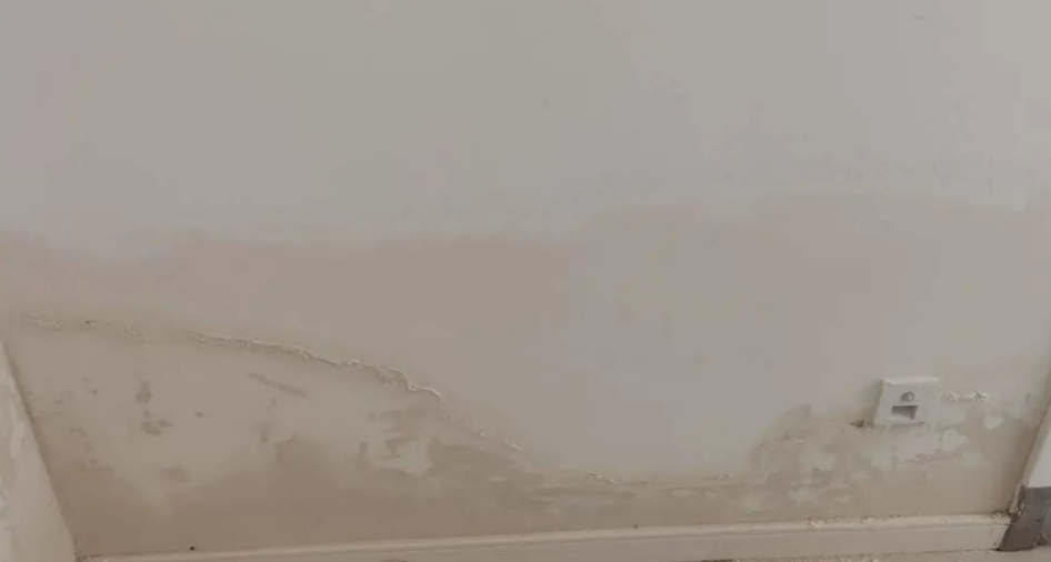 墙面返碱问题 受访者供图