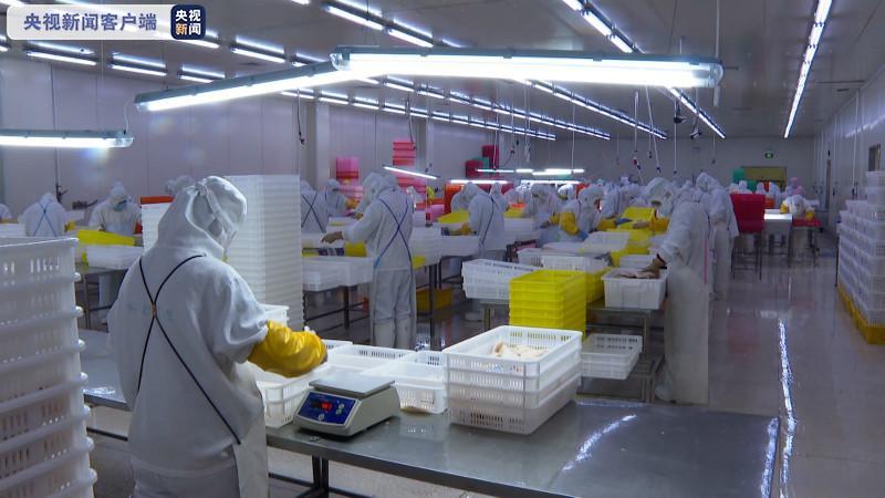 辽宁大连加强冷链食品监管 切断疫情输入渠道