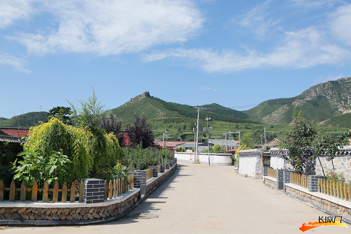 我们的全村福丨承德丰宁榆树沟村瓜果香飘致富路