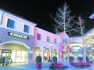 运营承压 奥莱业态比拼进入细分赛道