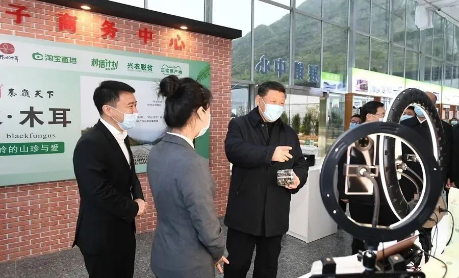 北迁象群何时“回家”?专家:大约在冬季