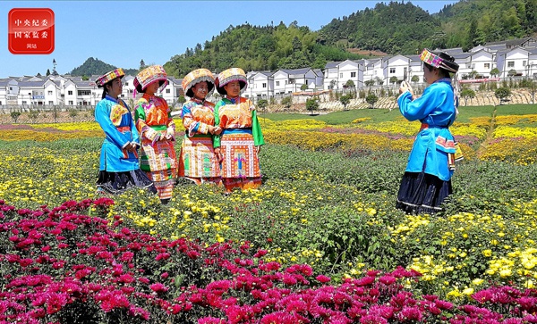 Since the beginning of the fight against poverty, Dazhai Miao Village, in Gulin County, Sichuan Province, has pushed the entire municipality to achieve general poverty alleviation through the construction of agricultural tourist parks and breeding tourist parks. ecological.  The picture shows local Miao compatriots taking pictures in the sea of ​​flowers.  (Photographed by Kang Ning for the Gulin County Disciplinary Inspection Commission, Sichuan Province)