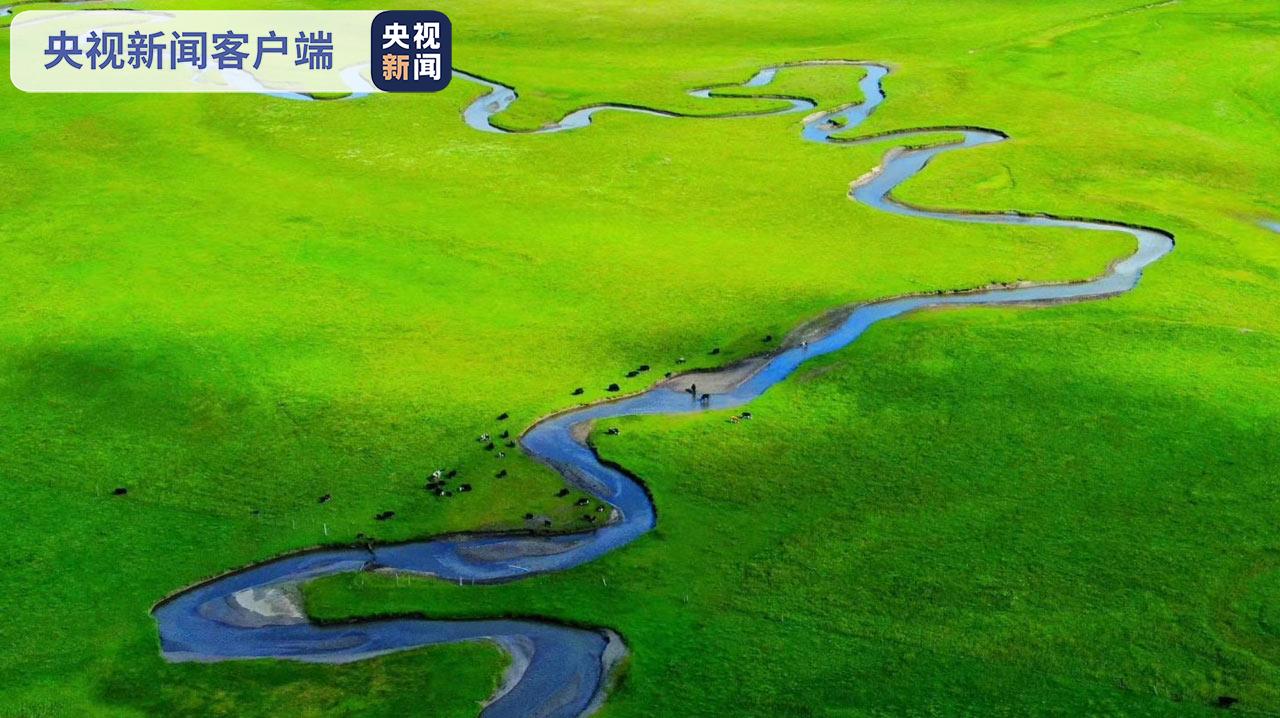 国家林草局：“十三五”期间我国新增湿地面积300多万亩