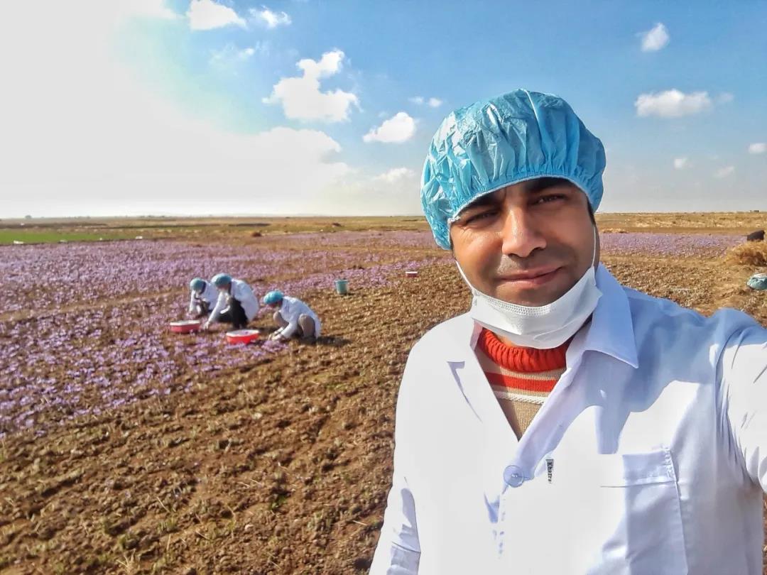 △古里在藏红花种植园。