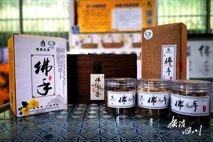 打好镇域经济发展翻身仗这个镇纪委书记有妙招