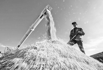 中央经济工作会议民生看点之粮食安全：把饭碗牢牢端在自己手中