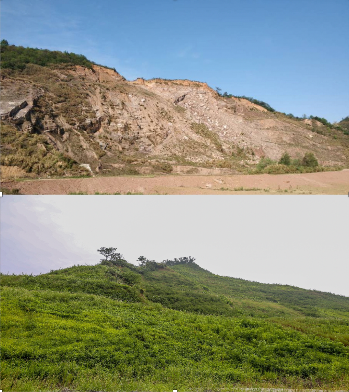 彭泽县长江沿岸山体修复项目前后对比图