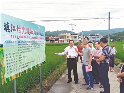 担责善为不断超越践行国企责任与担当