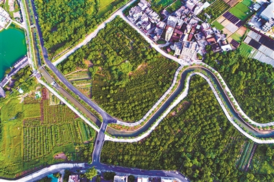 2020年广州最美村庄出炉