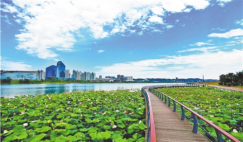 图为四川省遂宁市圣莲岛.钟 敏摄(中经视觉)