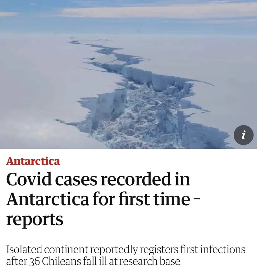 △首次在南极洲出现新冠肺炎确诊病例的报告（图片来源：英国《卫报》）