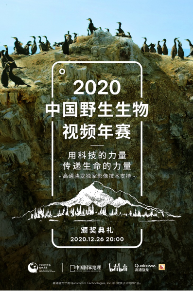 高通骁龙助力首届中国野生生物视频年赛