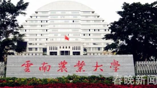 云南一高校发布通知：取消元旦节放假 寒假提前至1月6日