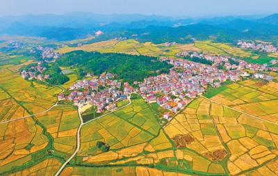 左江村,地处株洲市茶陵县腰潞镇西北部,深居群山之中,是湖南省级贫困