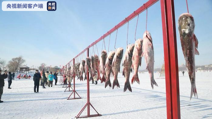 据主办方介绍，本届冬捕冰钓旅游活动预计捕捞各种鱼类10万余斤。