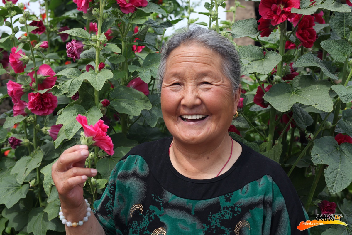 我们的全村福丨张家口市沽源县工农村小蚕豆变身致富金豆豆