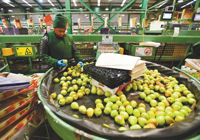 中智携手深化务实合作 双边经贸往来逆势增长