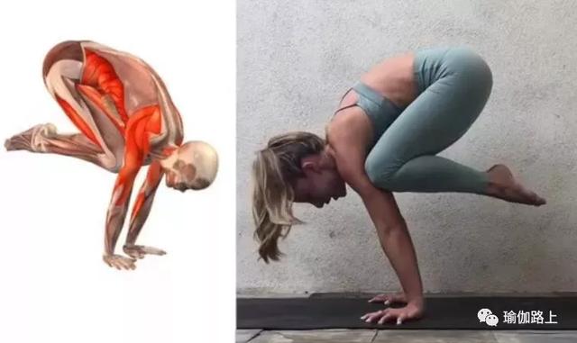 想练好瑜伽鹤禅式cranepose先要hold住这个动作