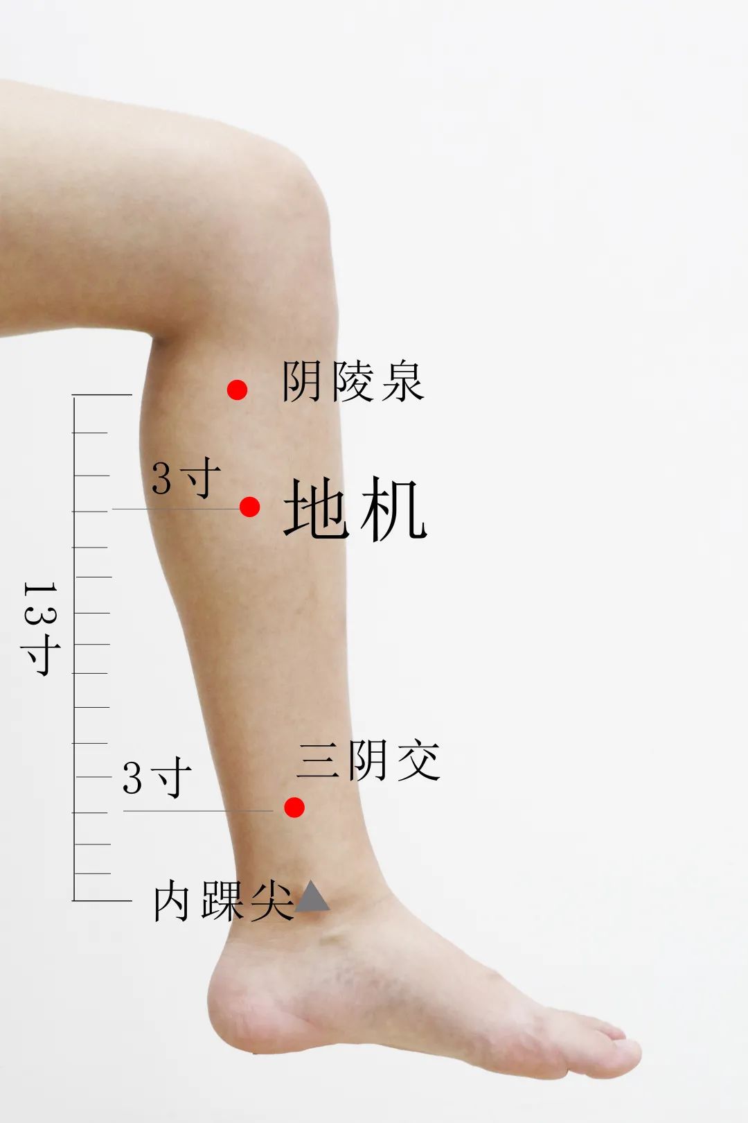 穴义微探——地机_手机新浪网