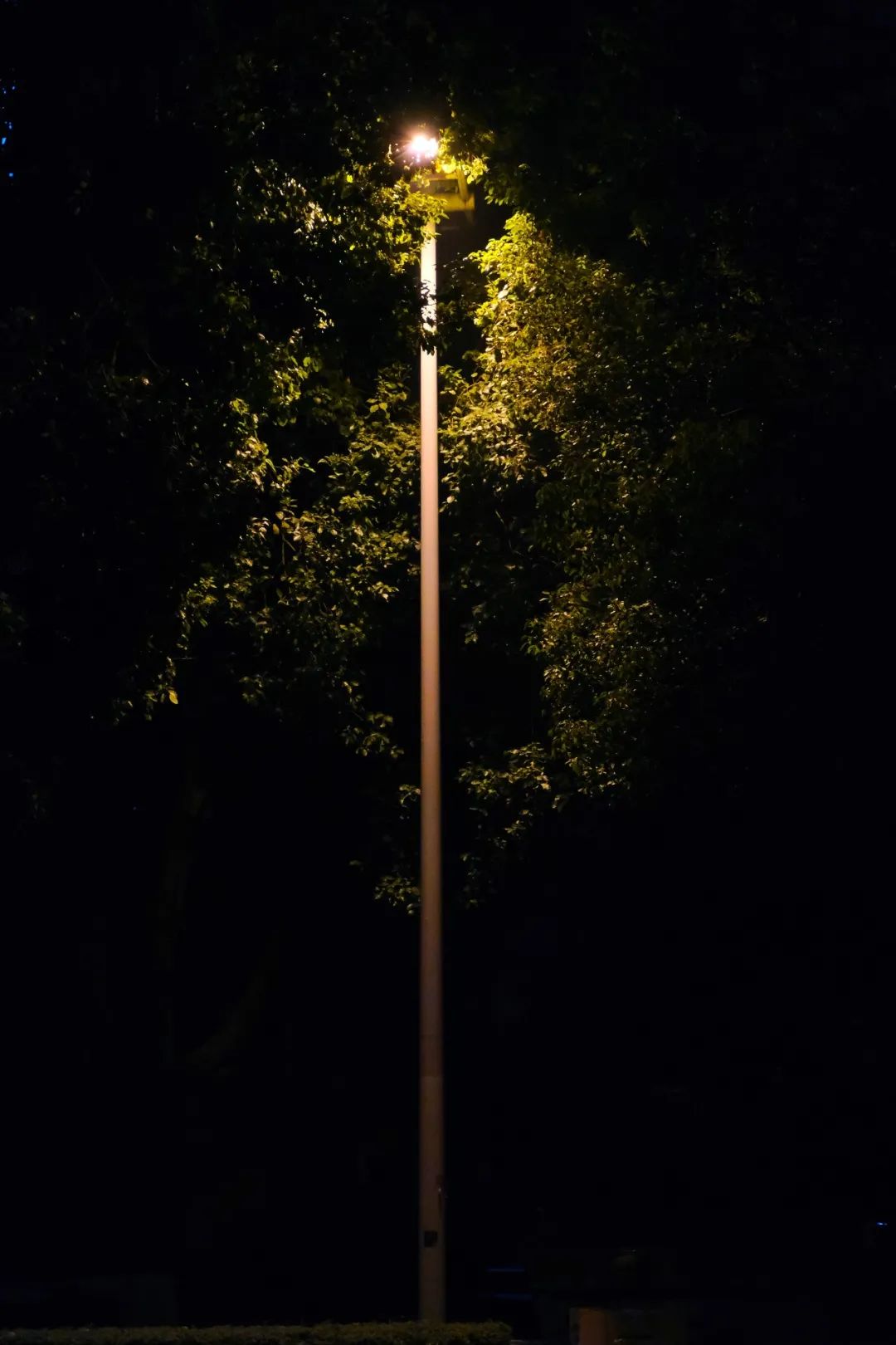 2020的末尾邂逅在湖工大最美的夜你好晚八人