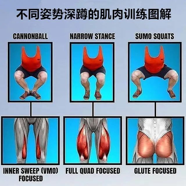 深蹲也是一个非常便捷和适用动作,它可以锻炼多个关节和全身肌肉,尤其