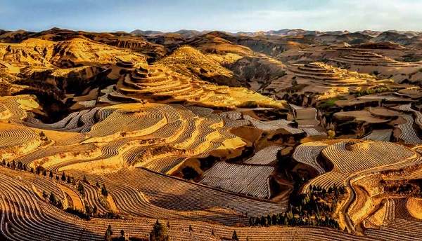 陕西榆林横山:宽幅梯田增效益