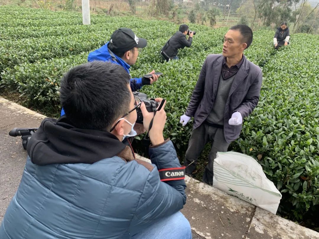 田坝村村民熊伟向记者们介绍自家茶园情况。中国网信网 赵娟 摄