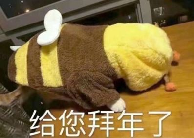 小游戏丨云南年俗知多少?动动手指赢“福气”,玩它!玩它!