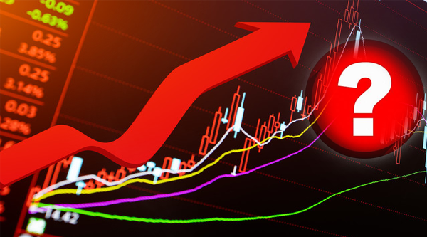 经过三轮股灾9成仓位最大回撤仅5%！投资大咖：低点时敢重仓