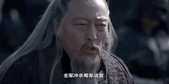 2010年新《三国》中的司马懿.2006年《乔家大院》中的孙茂才.