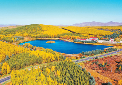 国际人士：中国为全球可持续发展贡献智慧力量