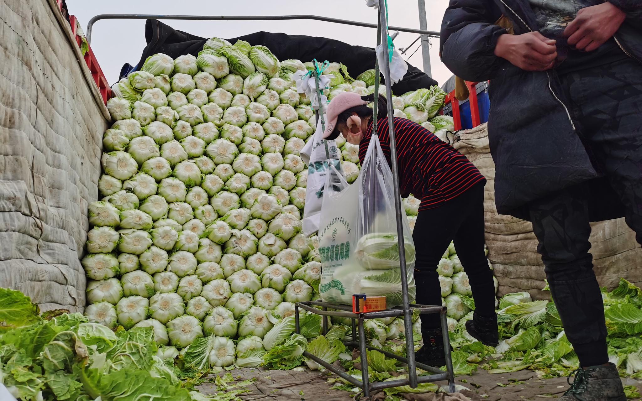 极速pk10官网是多少