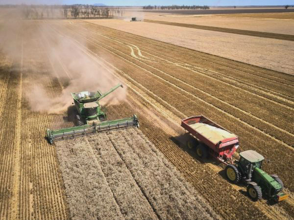 拉尼娜现象给全球农业添变数：作物产量受影响 食品或涨价