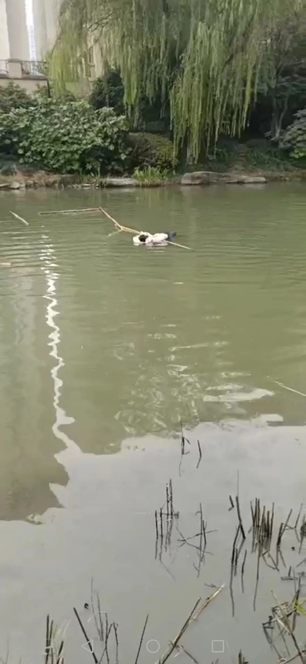 ��ˮŮ��&nbsp; ����ͼ��Ϊ �ܷ��߹�ͼ