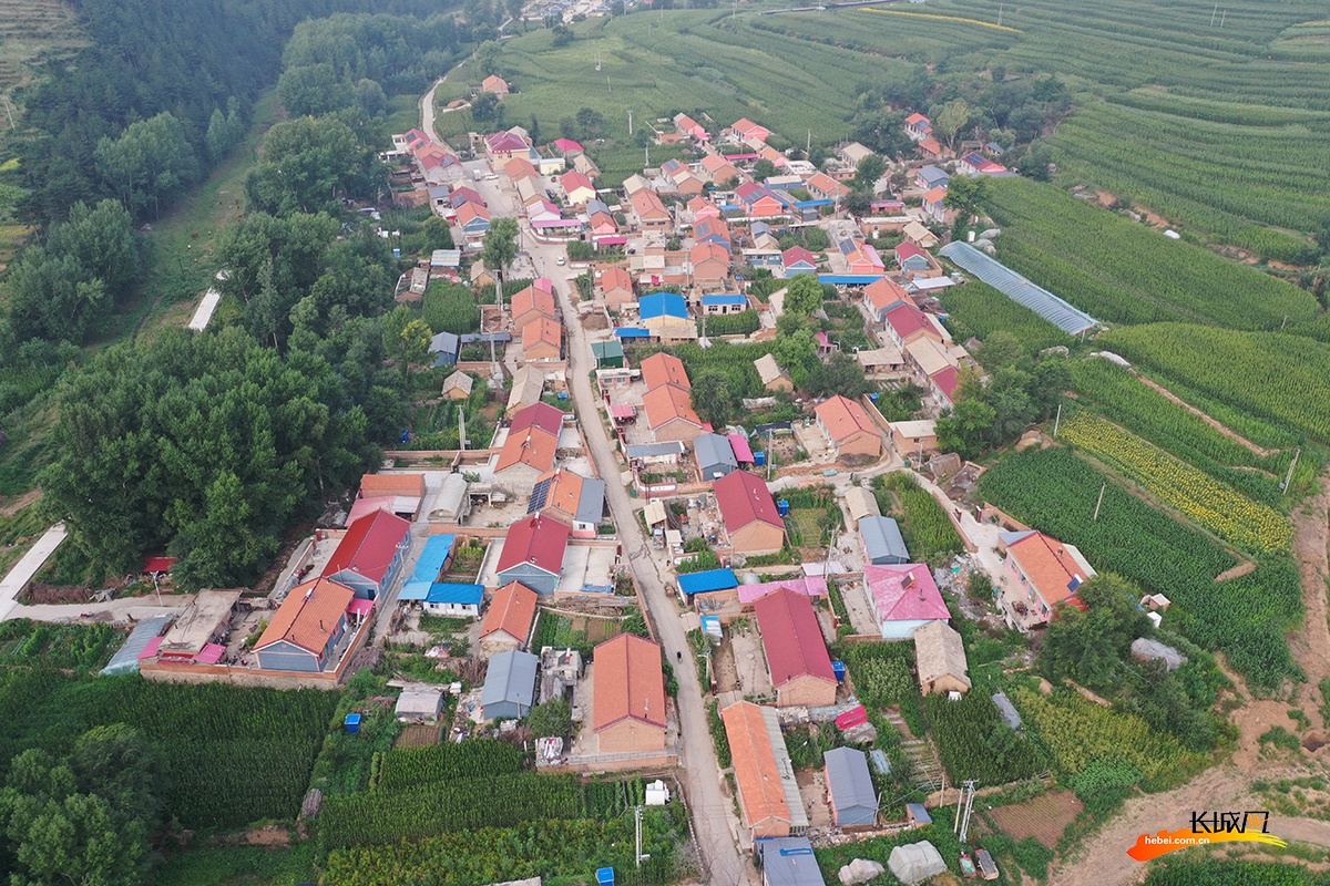 我们的全村福丨承德围场海字村产业发展助力脱贫致富