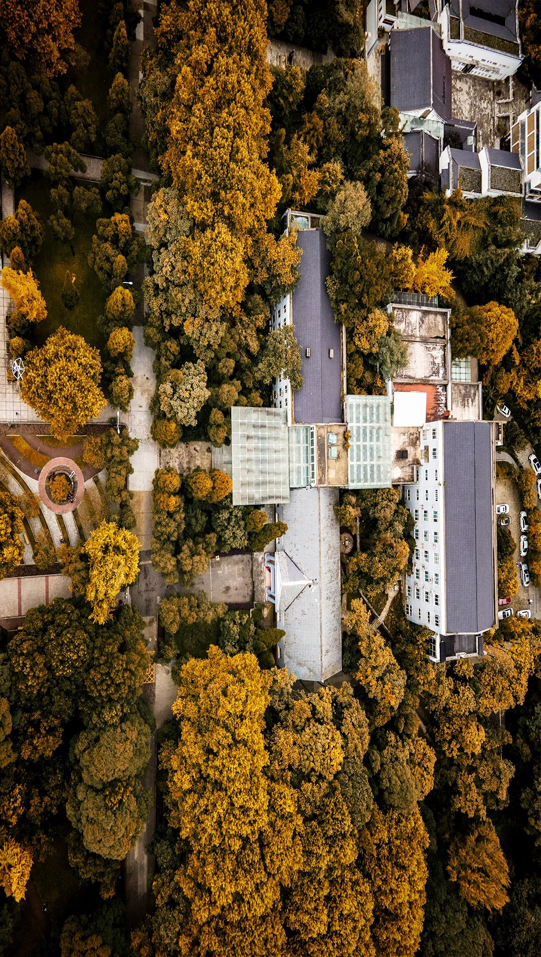 赵忠诚 溪溪的朋友圈视频:贵州大学网络电视台 黄克淞 舒志崴 朱信源