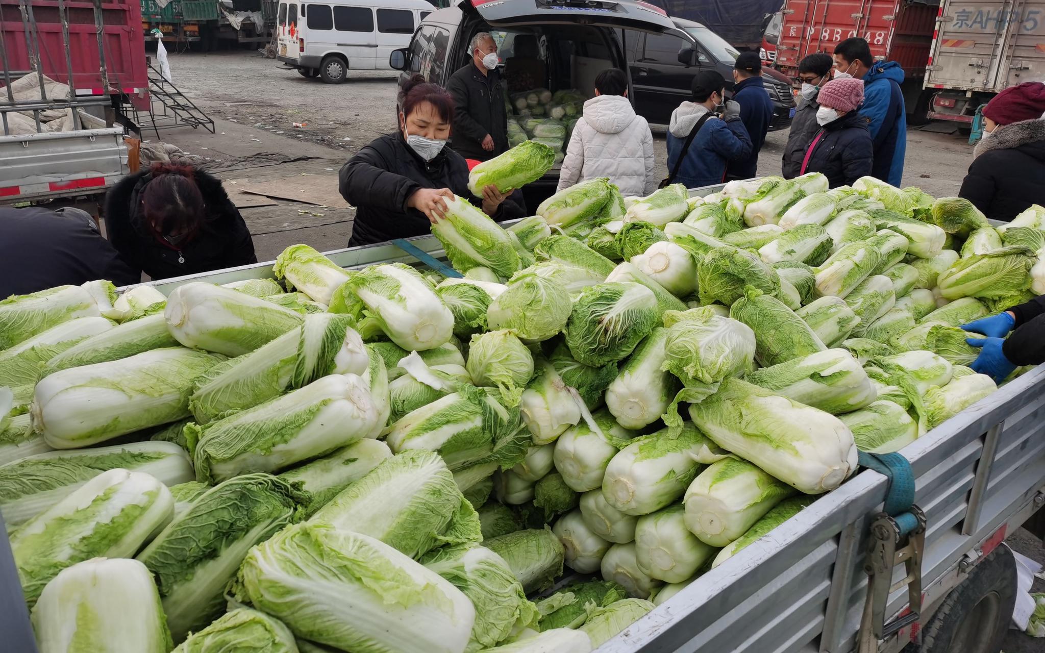 新发地市场卖大白菜的摊位。新京报记者 王颖 摄