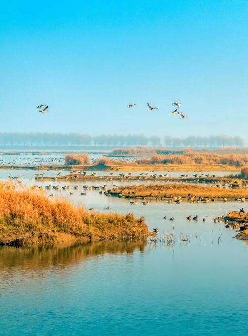 什么是武汉?|东湖|沙洲_新浪新闻