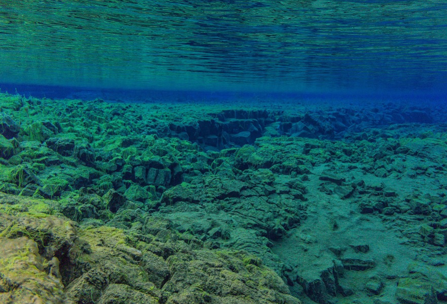 120的深海沉积物中发现了有机生命体