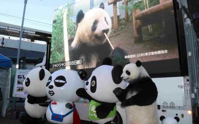 △上野动物园举办“谢谢你!香香”活动 为“香香”送行