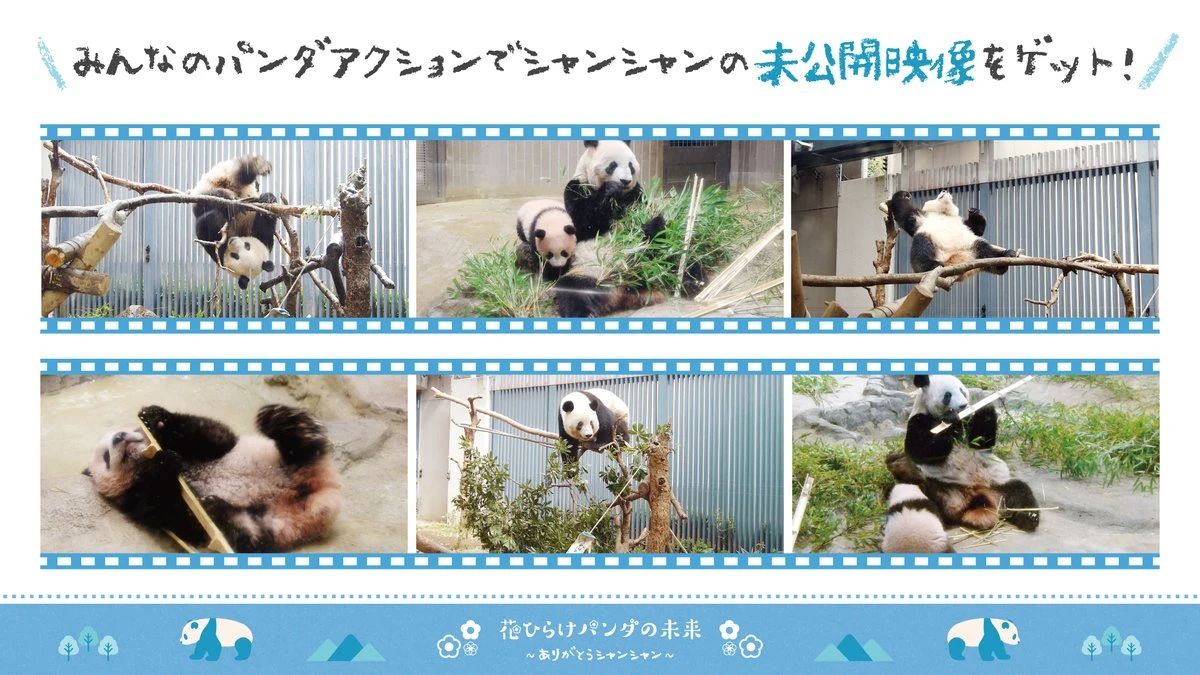 △上野动物园在其官网开设特别页面回顾“香香”的成长历程