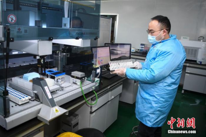 原料图:科研人员正在进走试剂盒进一步研发的实验。中新社记者 杨华峰 摄