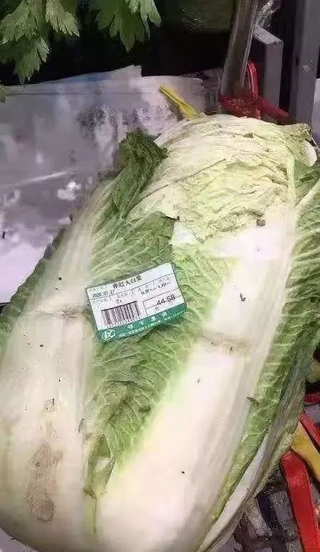 蔬菜价格快速上涨被举报！保百购物广场被罚200万！
