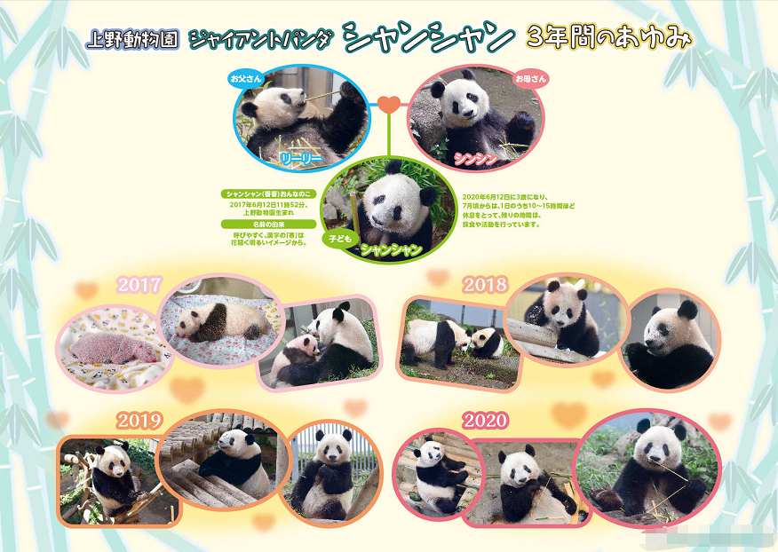 △日本邮便株式会社推出“谢谢 香香”个性化邮票