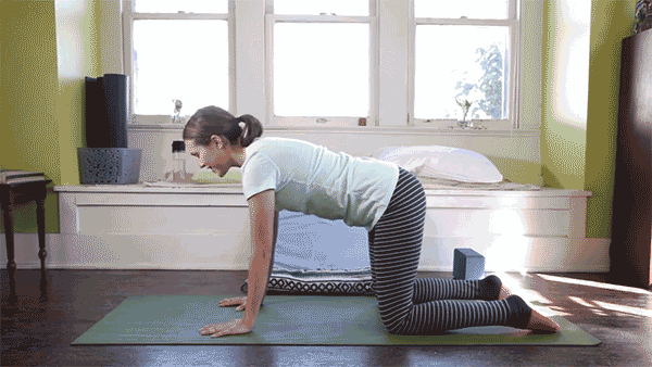 600_338gif 动态图 动图