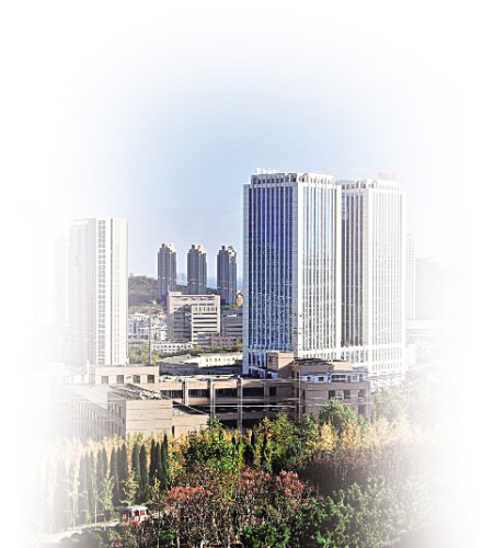 2019高新区成绩单 重整行装再出发 步履铿锵成绩斐然