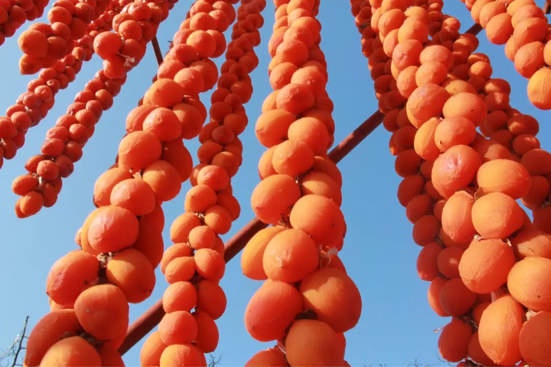 富平吊柿饼一水儿的流心难怪明清就被晋封为皇家贡品檀生活