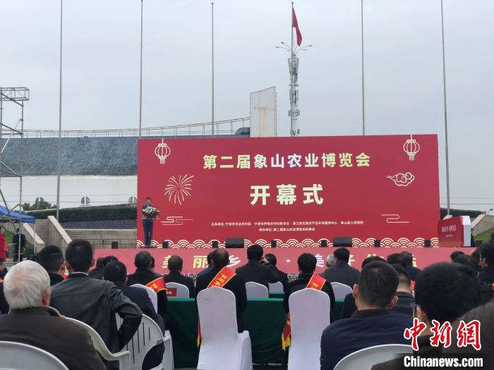 图为开幕现场。 林波 摄