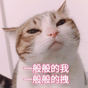 300_300gif 动态图 动图